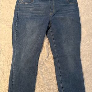 Time and Tru Women's Skinny Jeans in Blue